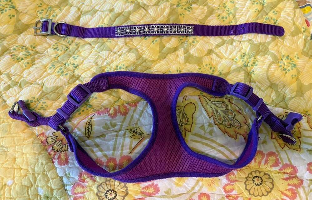 Unbranded Soft Mesh Dog Harness and Rhinestone Collar Set X-Small Purple